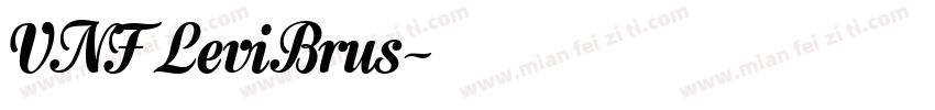 VNF LeviBrus字体转换